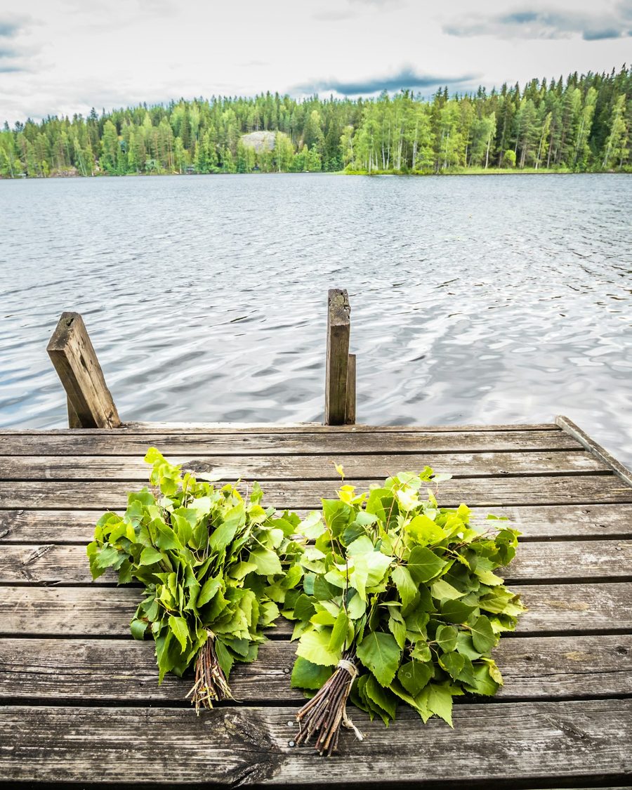 Koivuvastat laiturilla